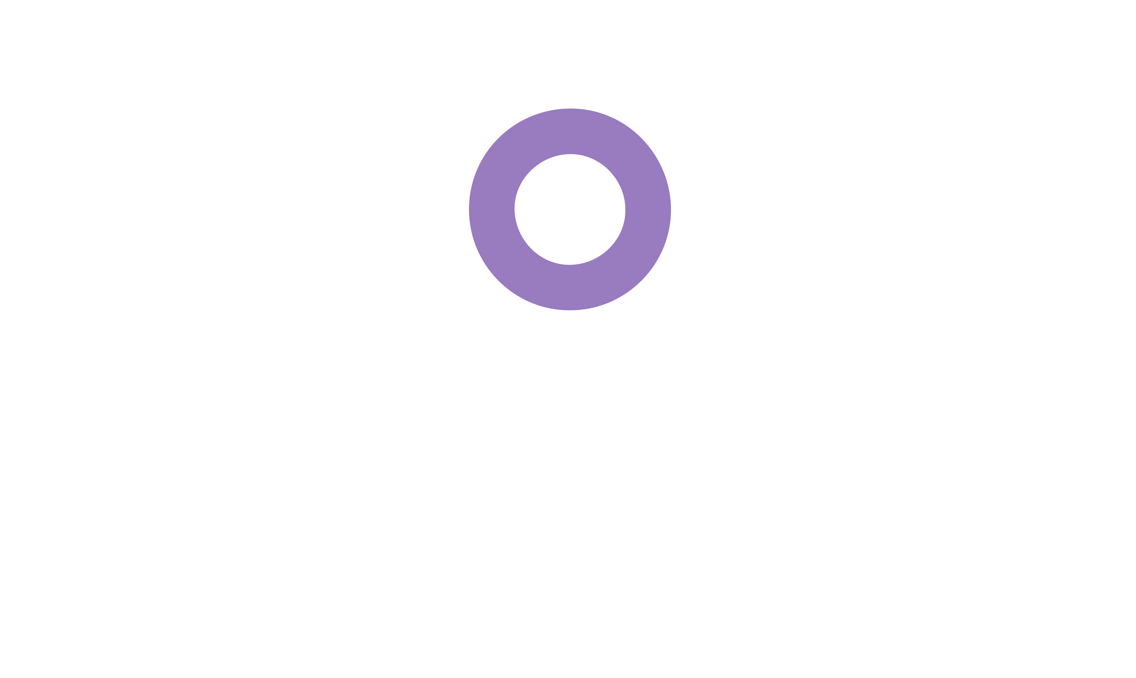 SAIF PROFACE logo